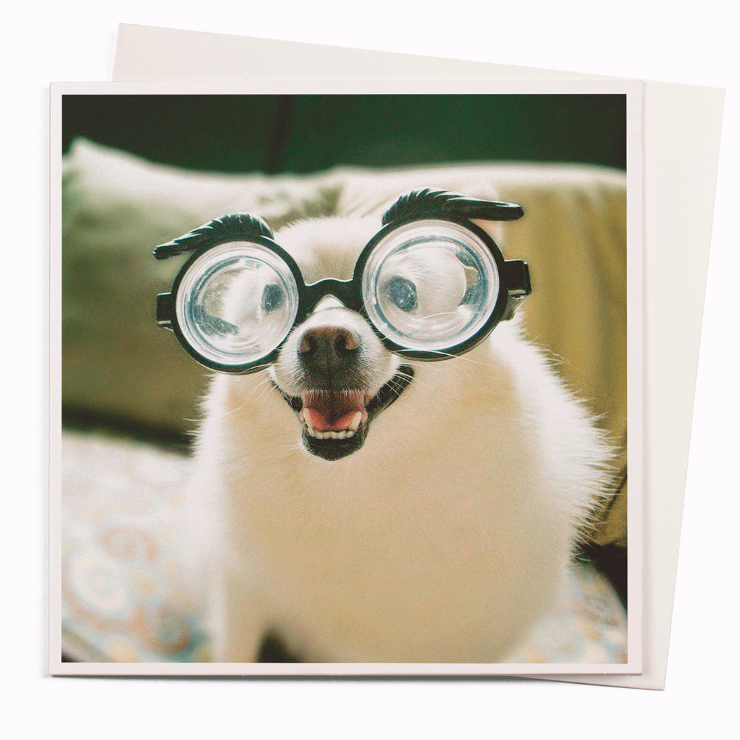 USTUDIO Design Photo Greeting Card 1000 Words Dog with Glasses