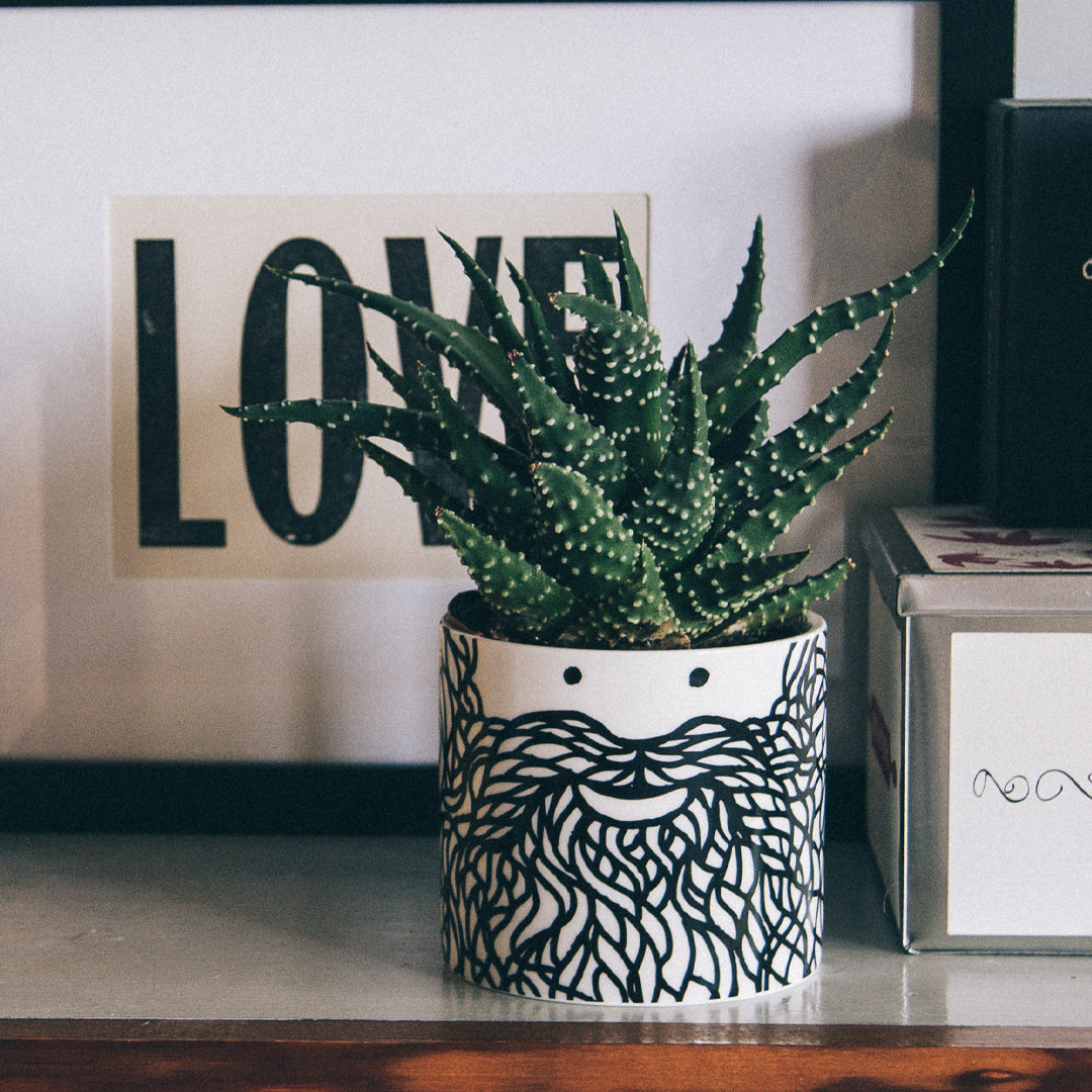 beard plant pot USTUDIO Design Illustrated Planter | Beardy Hubert