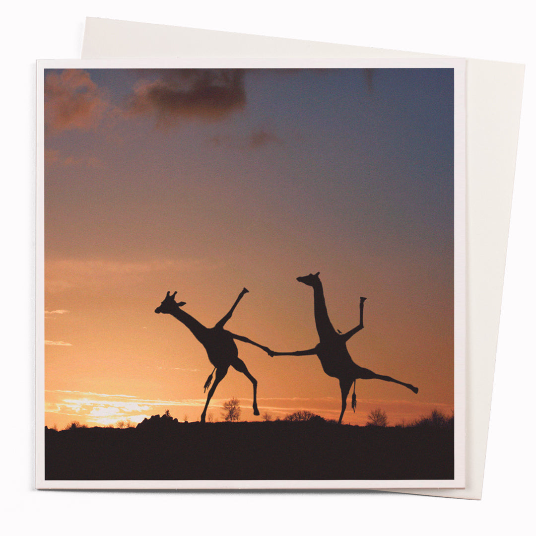 Dancing Giraffe  is part of USTUDIO Design's 1000 Words range - a 'slice of life' licensed photography collection with a focus on humour and sometimes with a little digital manipulation to help the fun along.