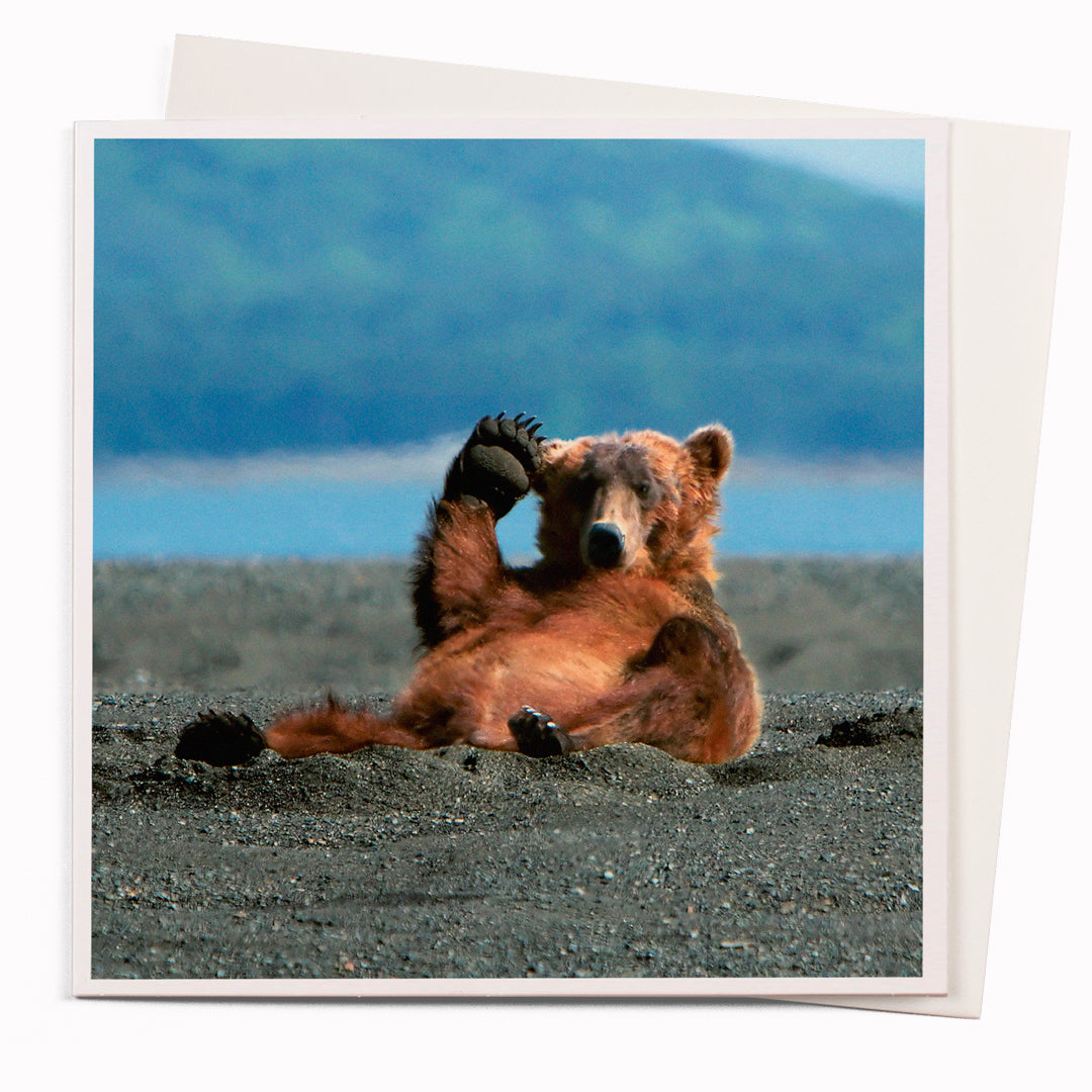USTUDIO Design Photographic Greeting Card | 1000 Words | Hellooo!