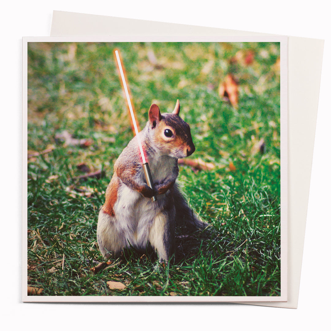 The Nutsabre card is part of the 1000 Words - Slice of life licensed photography collection with a focus on animal shenanigans and the ridiculous.