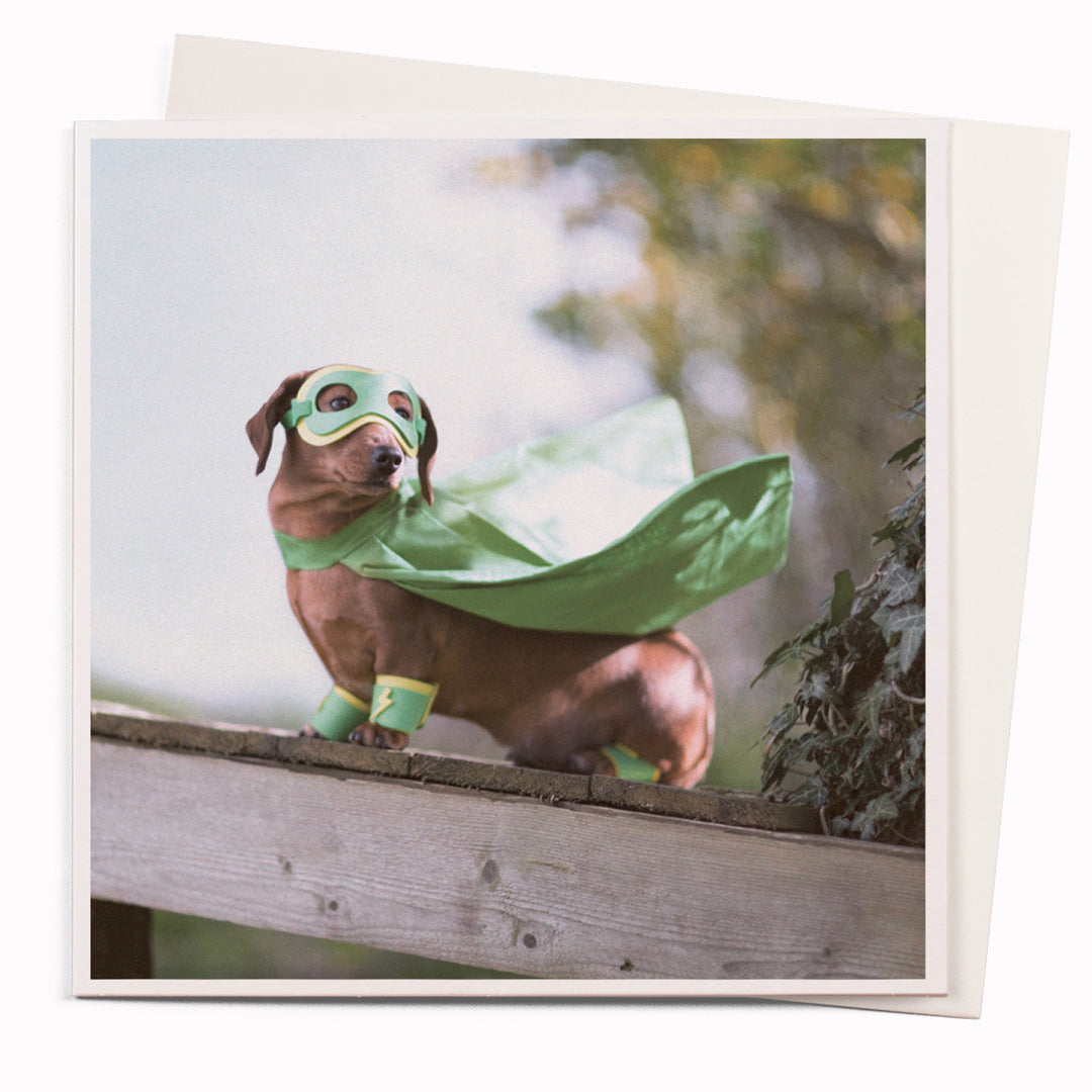 The Super dog card is part of the 1000 Words - Slice of life licensed photography collection with a focus on animal shenanigans and the ridiculous.