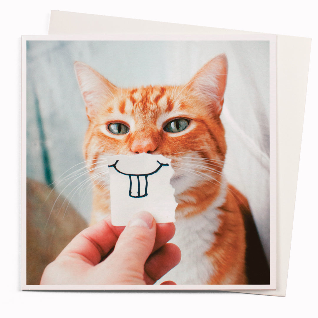 Buck tooth Kitty  is part of USTUDIO Design's 1000 Words range - a 'slice of life' licensed photography collection with a focus on humour and sometimes with a little digital manipulation to help the fun along.