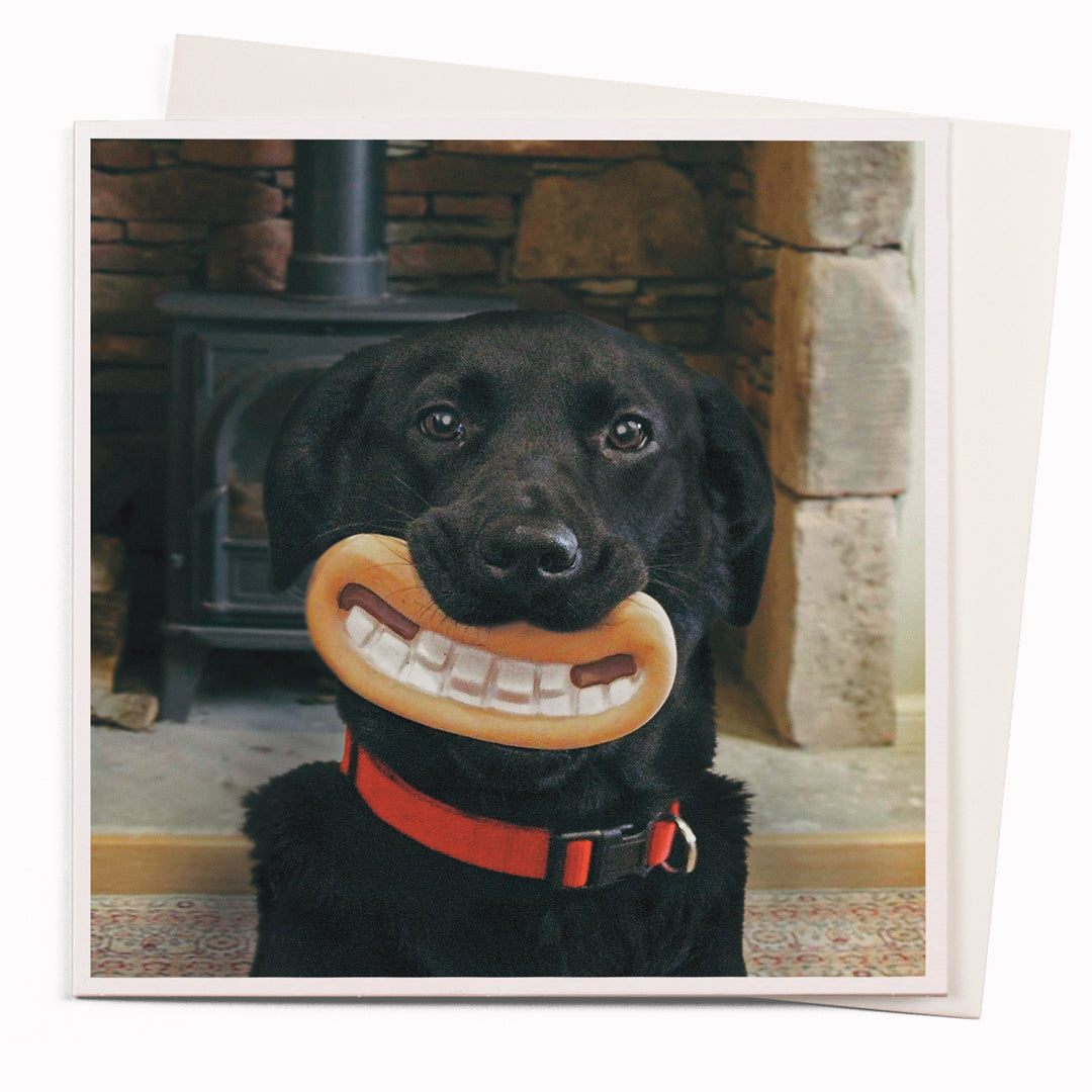 Smile Gromit card is part of the 1000 Words - Slice of life licensed photography collection with a focus on animal shenanigans and the ridiculous.