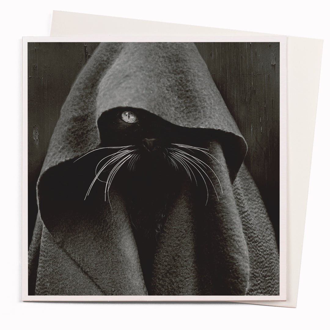 Dark Cat is part of USTUDIO Design's 1000 Words range - a 'slice of life' licensed photography collection with a focus on humour and sometimes with a little digital manipulation to help the fun along.