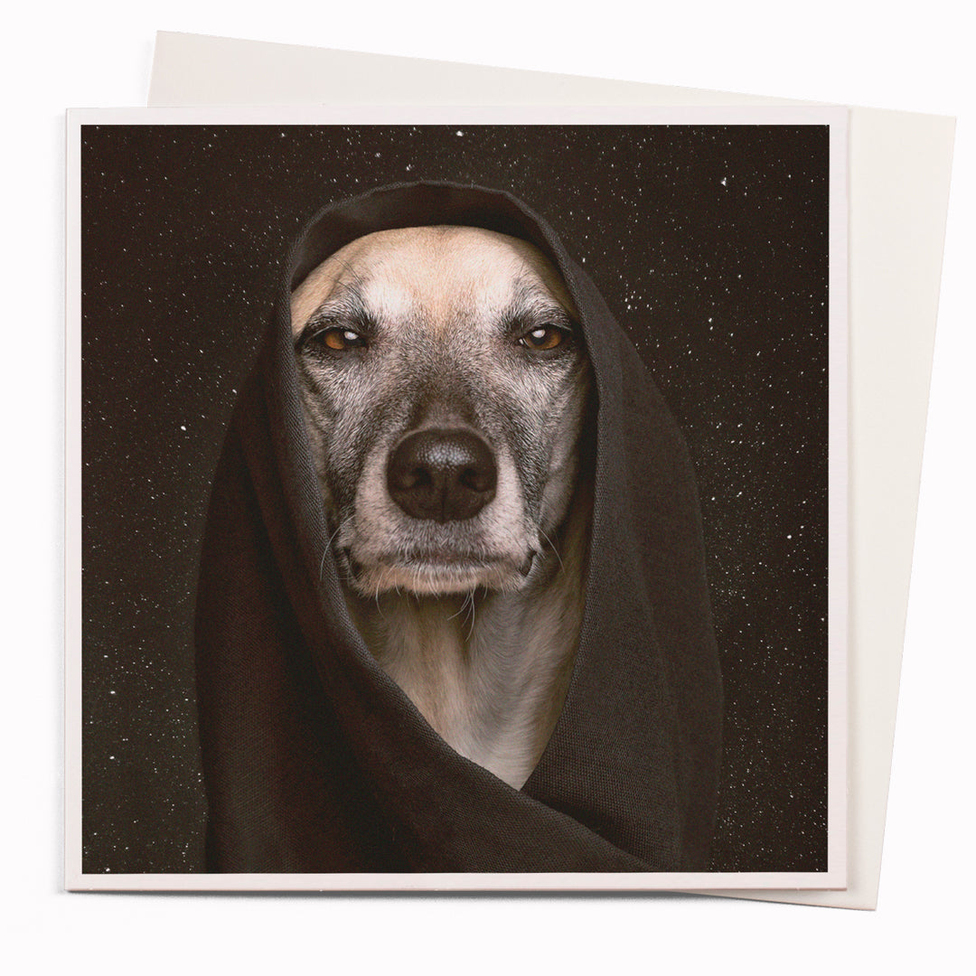 Dog of the Force is part of USTUDIO Design's 1000 Words range - a 'slice of life' licensed photography collection with a focus on humour and sometimes with a little digital manipulation to help the fun along.