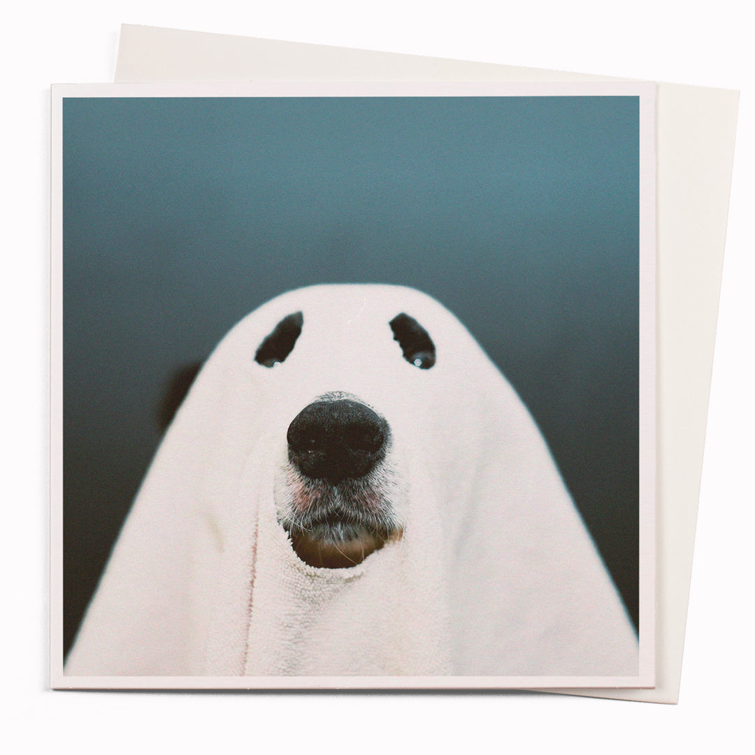 Ghost Dog is part of the 1000 Words - Slice of life licensed photography collection with a focus on animal shenanigans and the ridiculous.
