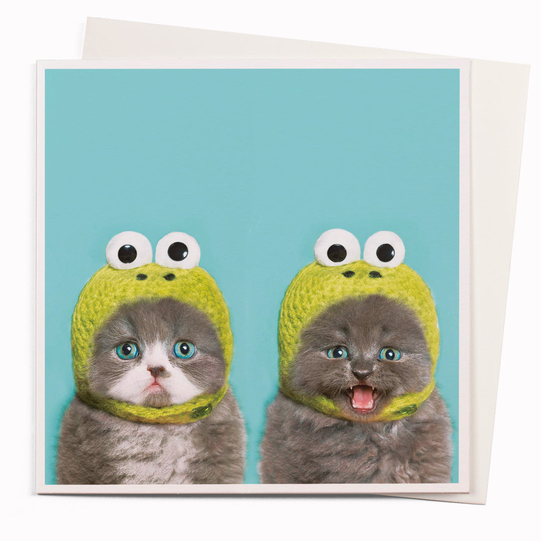 Cat Frog  is part of USTUDIO Design's 1000 Words range - a 'slice of life' licensed photography collection with a focus on humour and sometimes with a little digital manipulation to help the fun along.