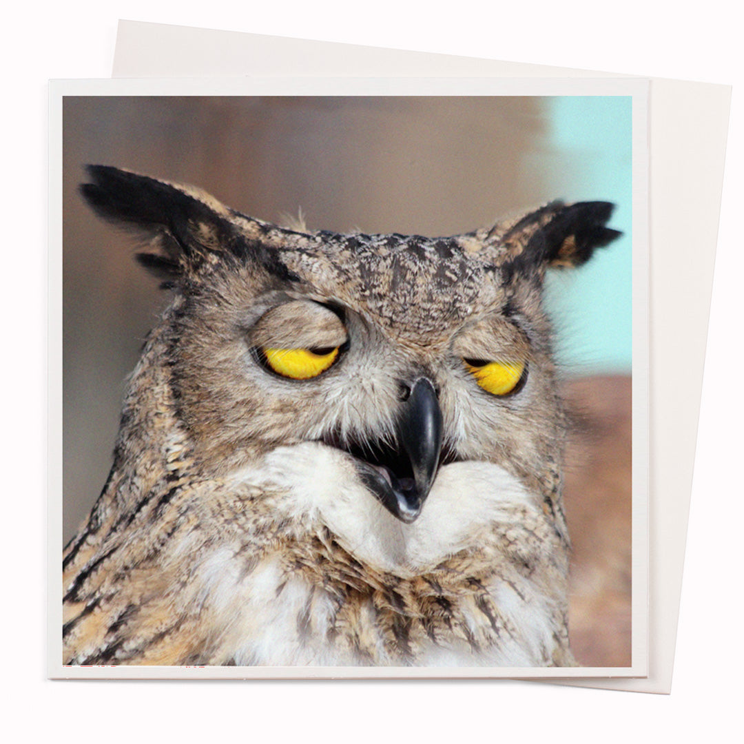 The High flying Owl card is part of the 1000 Words - Slice of life licensed photography collection with a focus on animal shenanigans and the ridiculous.