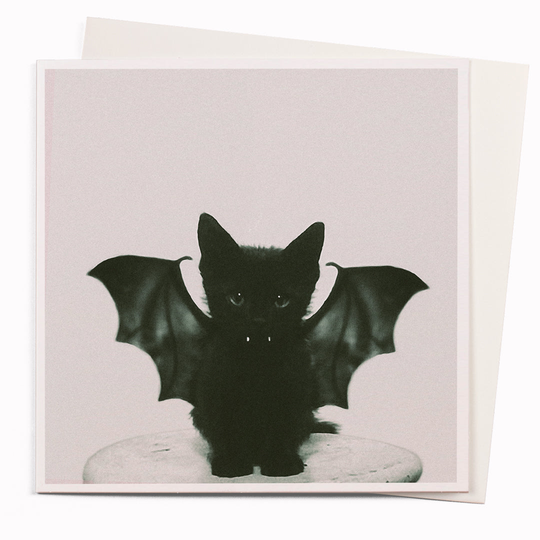 Bat Kitten  is part of USTUDIO Design's 1000 Words range - a 'slice of life' licensed photography collection with a focus on humour and sometimes with a little digital manipulation to help the fun along.