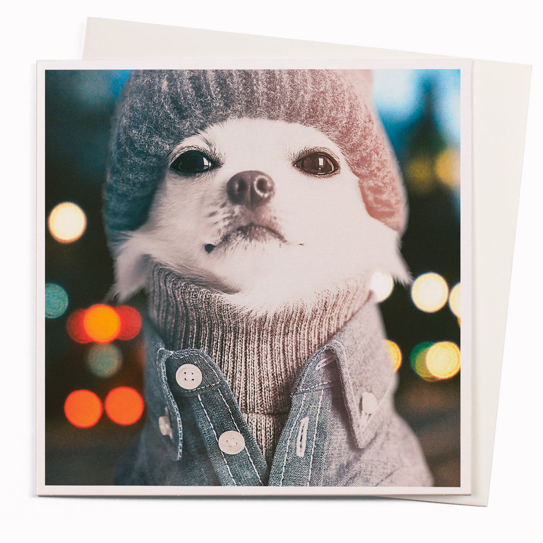 The Sergei card is part of the 1000 Words - Slice of life licensed photography collection with a focus on animal shenanigans and the ridiculous.