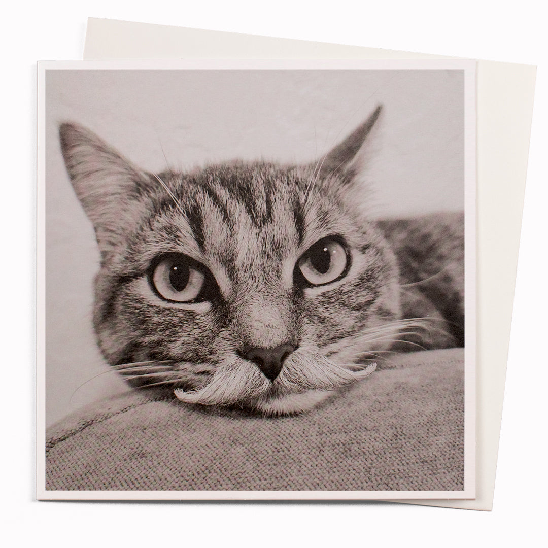 The Mr Moustache card is part of the 1000 Words - Slice of life licensed photography collection with a focus on animal shenanigans and the ridiculous.