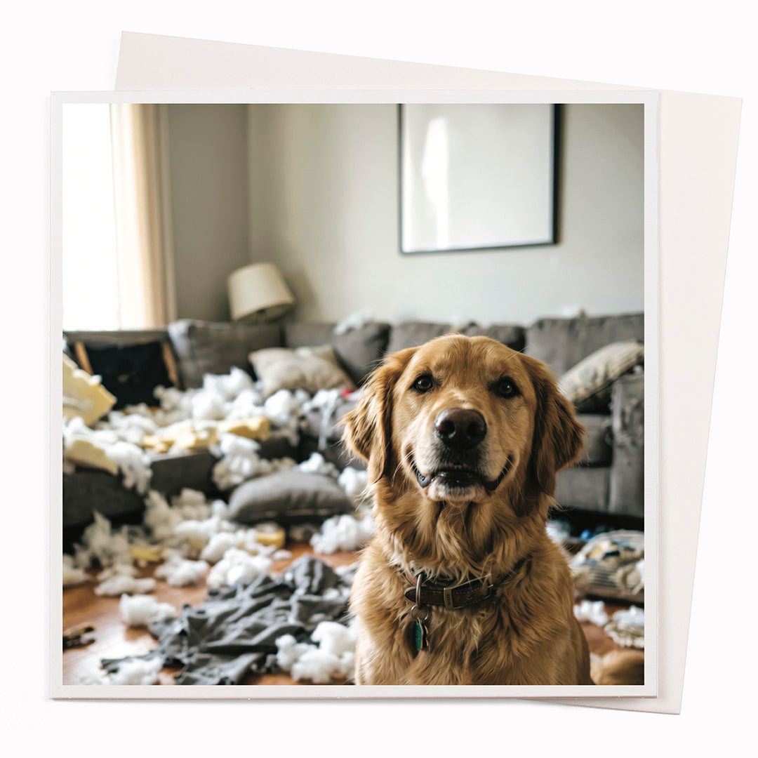 Good Boy | Photographic Greeting Card