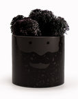 Beardy Bernard | Illustrated Planter | D. 11.5cm