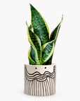 Beardy Samuel | Illustrated Planter | D. 11.5cm