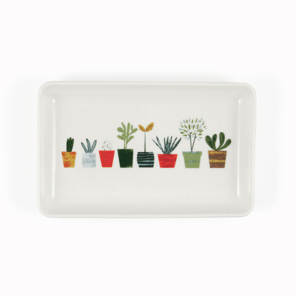 Little Plants | Porcelain Trinket Tray | Blanca Gomez